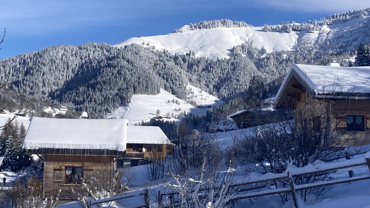 Les chalets d'Heidi_Notre-Dame-de-Bellecombe - © Laurent ANCENAY chaletsavoie.com Les chalets d'Heidi_Notre-Dame-de-Bellecombe