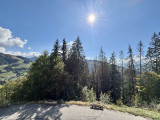 227459001_17818_17818n_1791449657.jpg