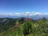 Balade Val d'Arly, Vue Mont Blanc