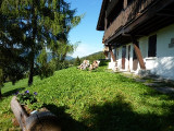 Terrasse engazonnée