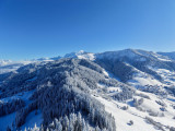 _lv_images__imme_0000000096_12_7836508