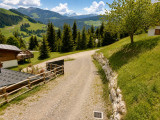 _lv_images__imme_0000000102_16_8345921