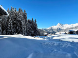 _lv_images__imme_0000000264_04_6667131
