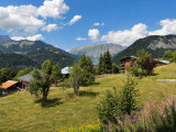 _lv_images__imme_0000000286_04_8364224