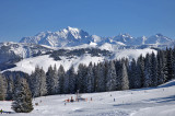 _lv_images__imme_0000000287_06_7785464