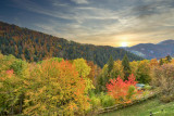 _lv_images__lot_0000100280_03_5798608