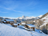 _lv_images__lot_0000140075_02_8195616