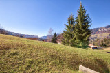 _lv_images__lot_0000220224_05_5798276