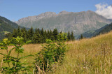 _lv_images__lot_0000970329_10_5798948