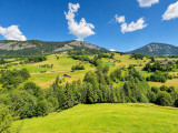 _lv_images__lot_0000970349_02_8285629