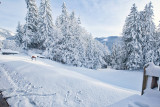 _lv_images__lot_0000970371_11_7814194