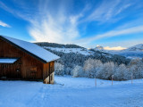 _lv_images__lot_0000970423_04_8425738