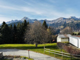 _lv_images__lot_0000970445_02_8085078