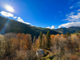 _lv_images__lot_0000970446_07_8320954