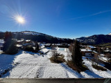 _lv_images__lot_0000970450_10_7955809