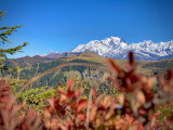 Les contrastes et le couleurs d'automne en montagne