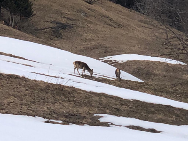 SURPRISE DE FIN DE SAISON D'HIVER !
