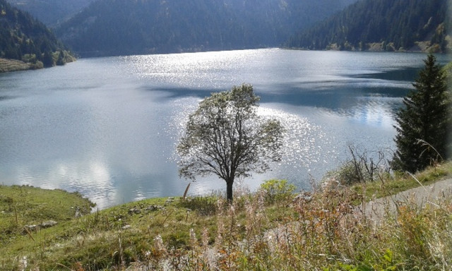 Lac de Montagne - © MCG Lac de Montagne