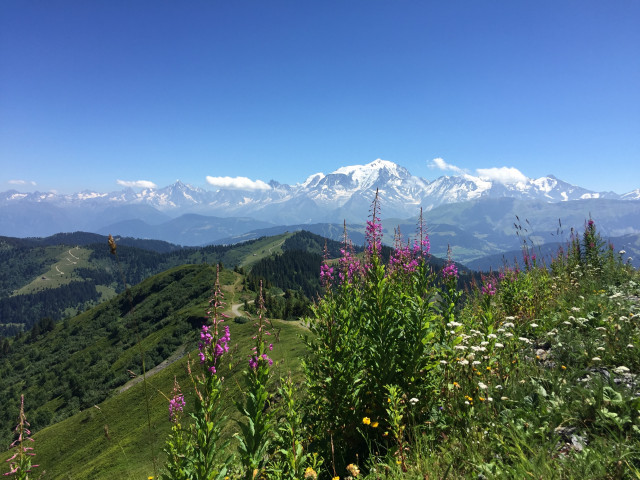 Aux-chalets-des-alpes, Crest-Voland, Savoie - © Indivision Bouchex Aux-chalets-des-alpes, Crest-Voland, Savoie