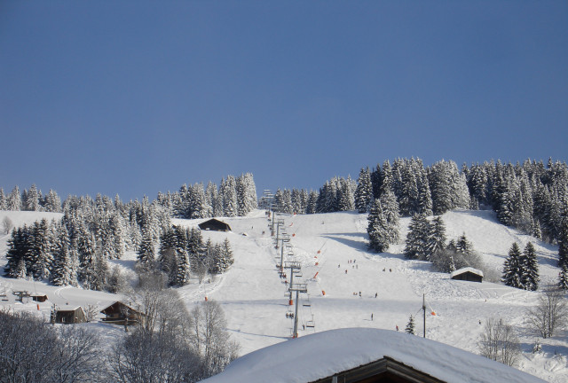 Grépon - Aux Chalets des Alpes_Crest-Voland