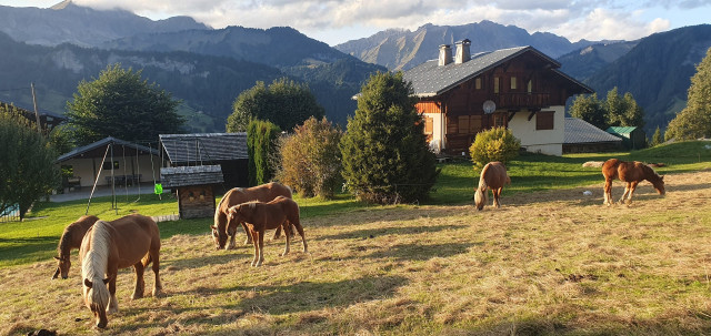 Les Chamois_Crest-Voland Les Chamois_Crest-Voland