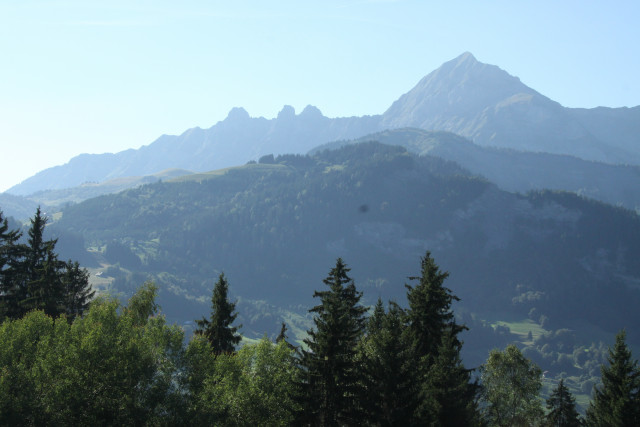 Vue été - © Gins.D - OTI VDA Vue été