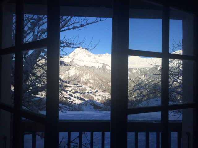 Vue du balcon premier étage