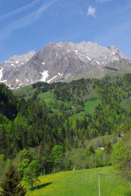 L'ETALE EN ÉTÉ, VUE DEPUIS LA TERRASSE