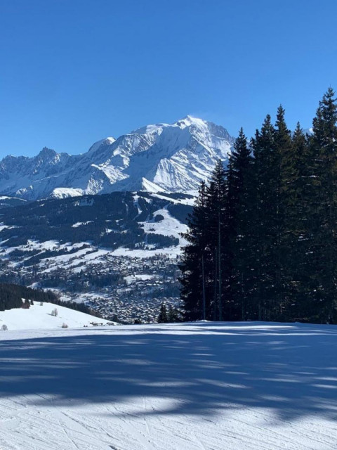 Skier avec la vue sur Le Mont-Blanc !