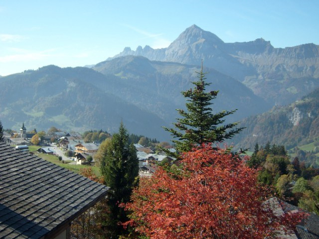 _clients_227359002_photos_106m_7607848