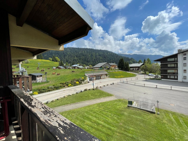 _clients_227359002_photos_117l_7232996