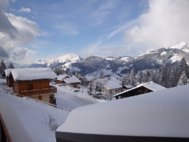 _clients_227359002_photos_11j_7266940