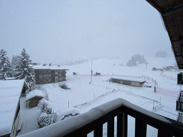 _clients_227359002_photos_12n_7159813