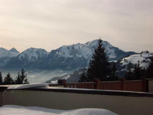 _clients_227359002_photos_144f_7482721 _clients_227359002_photos_144f_7482721