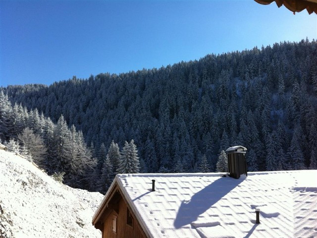 _clients_227359002_photos_145h_6871046