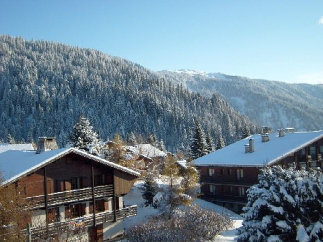 _clients_227359002_photos_159l_6970463 _clients_227359002_photos_159l_6970463