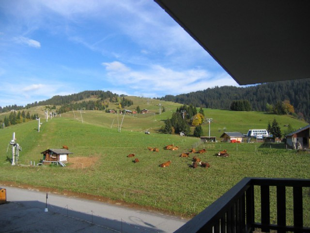 _clients_227359002_photos_162k_6904517 _clients_227359002_photos_162k_6904517