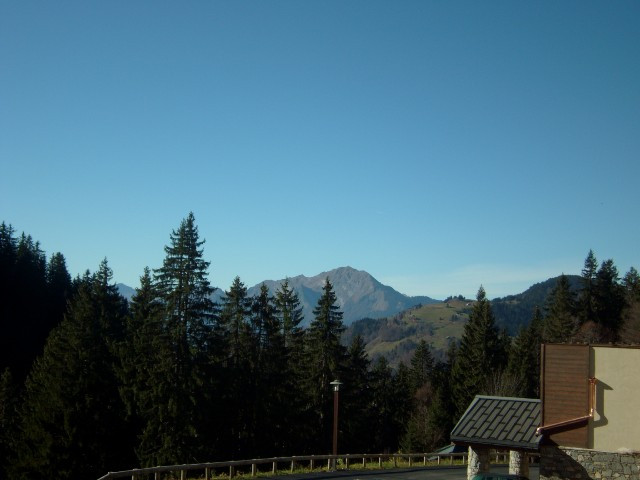 _clients_227359002_photos_168i_7255914 _clients_227359002_photos_168i_7255914