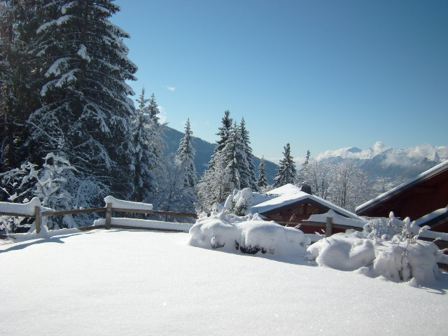 _clients_227359002_photos_169r_7233268