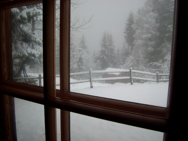 _clients_227359002_photos_169s_7532305