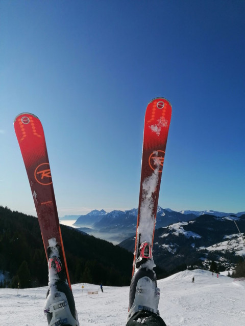 _clients_227359002_photos_181i_7477172