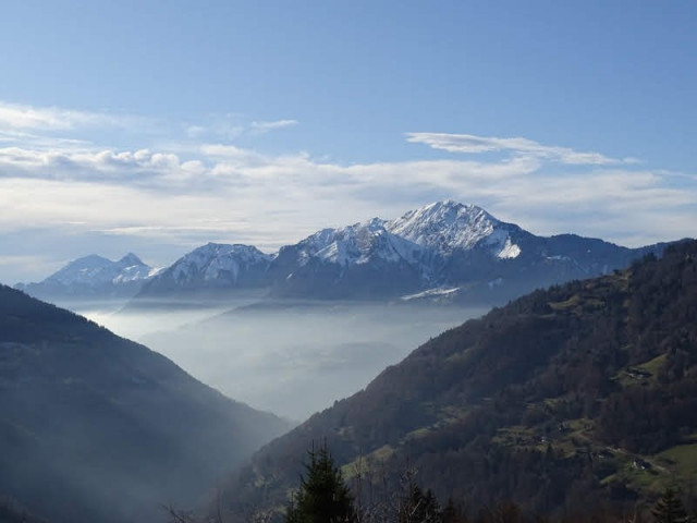 _clients_227359002_photos_181j_6924832 _clients_227359002_photos_181j_6924832