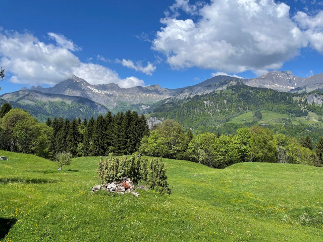 _clients_227359002_photos_195p_6982676