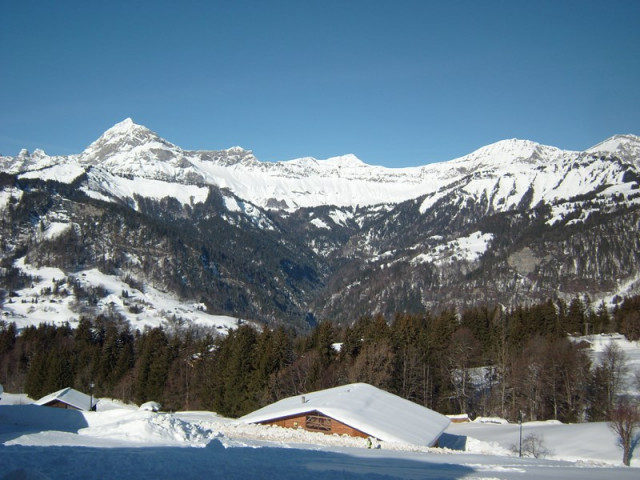 _clients_227359002_photos_236c_7506097