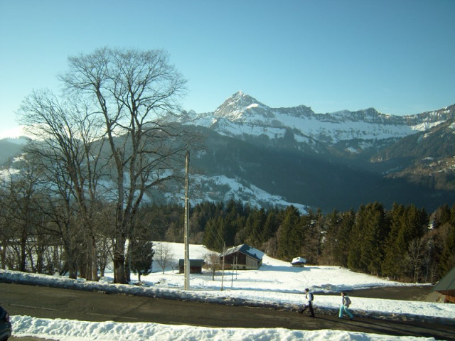 _clients_227359002_photos_241l_7644536