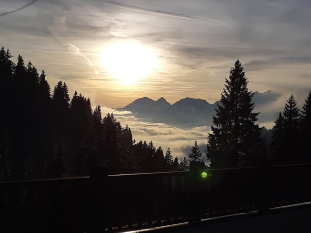 _clients_227359002_photos_245a_7211137