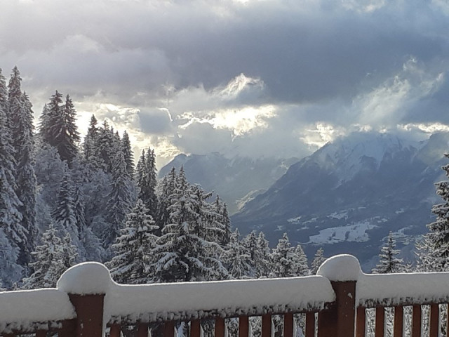 _clients_227359002_photos_245k_6756960