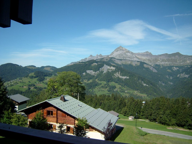 _clients_227359002_photos_247i_7672154 _clients_227359002_photos_247i_7672154