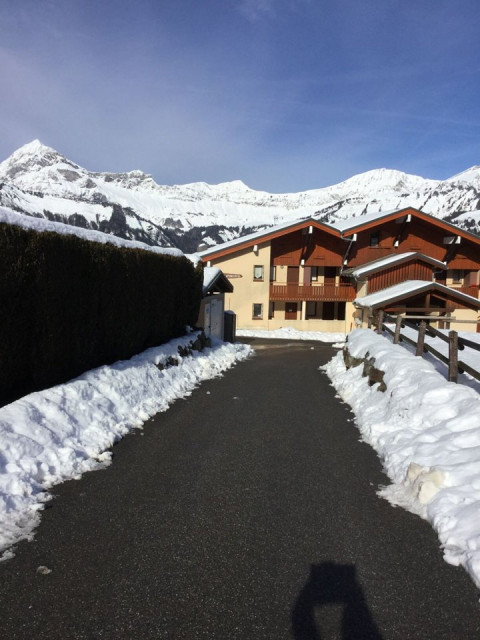 _clients_227359002_photos_247l_7527175