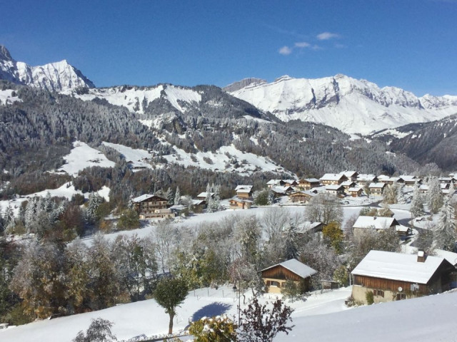 _clients_227359002_photos_247m_7613690